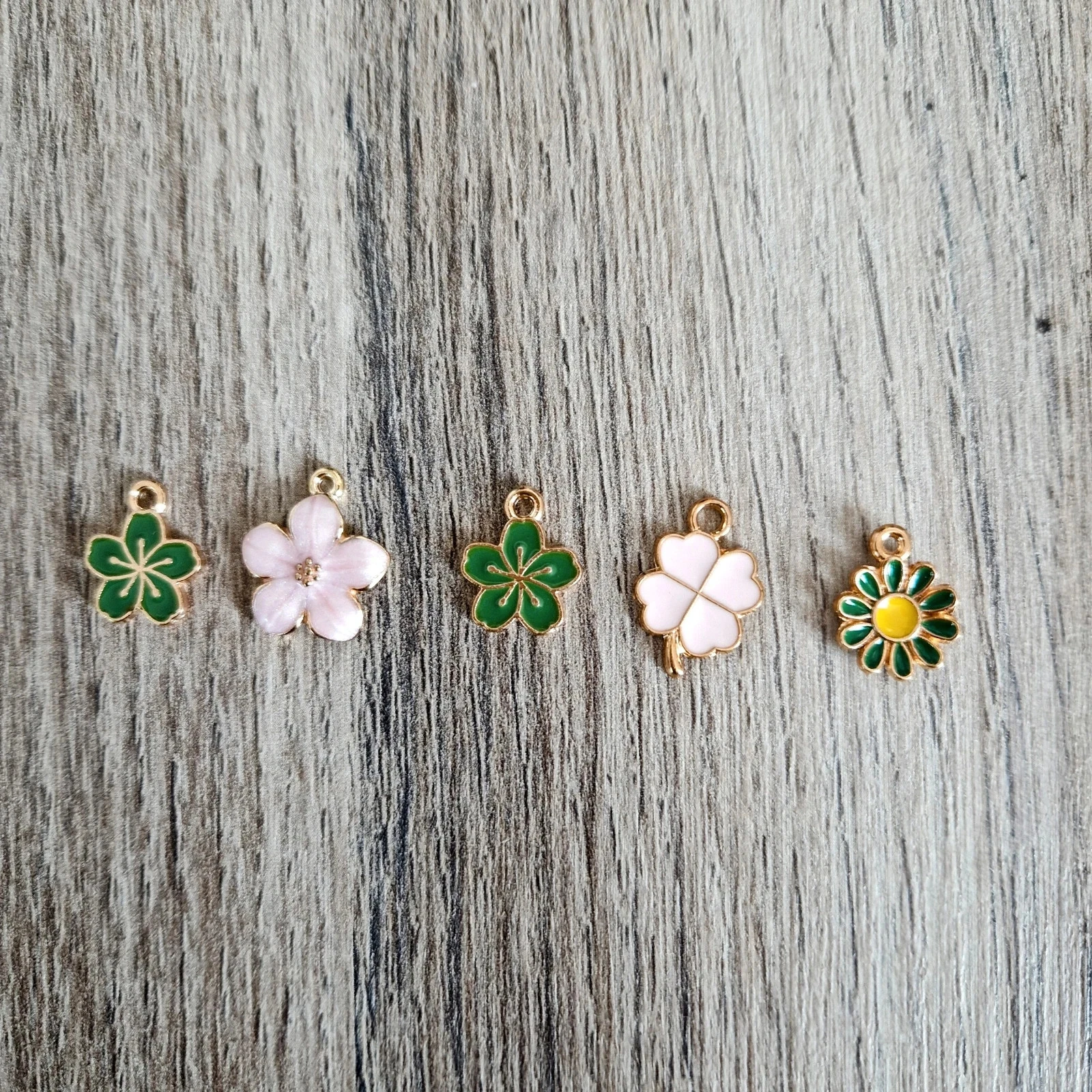 Lot de 5 breloques